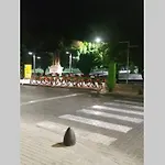 Moderno departamento en inmejorable ubicación con estacionamiento opcional