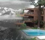 El Pino Apart