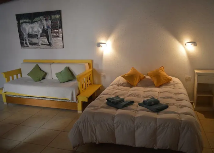 Lofts Las Margaritas