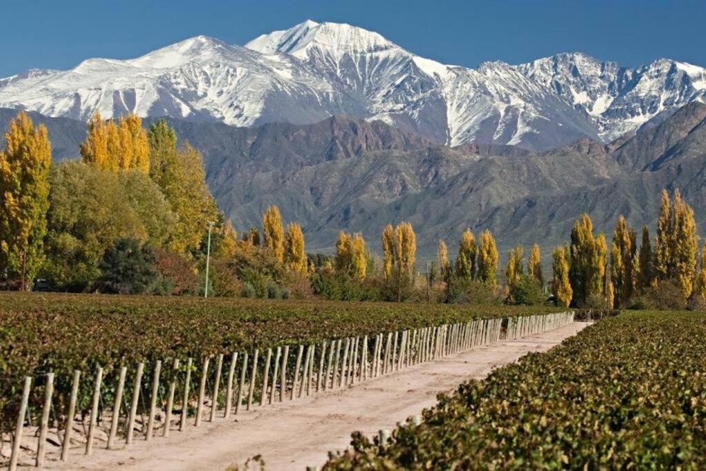 Quinta Park Mendoza