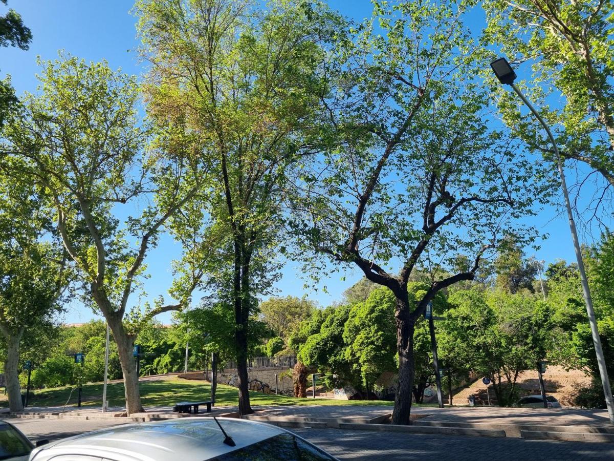Centrico Parque Civico *