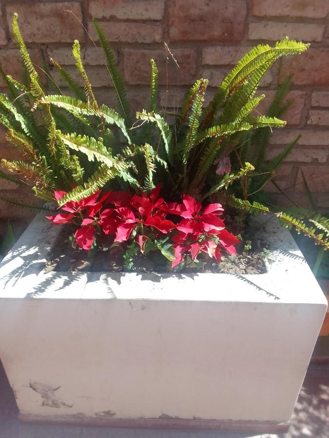 Holiday home Casa Quinta Seccion *