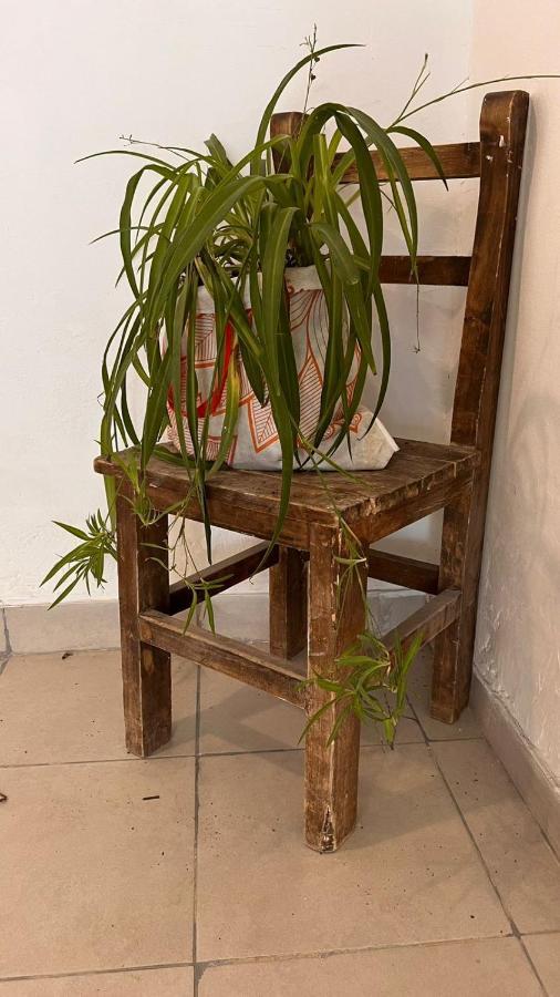 Moras Apartment Mendoza