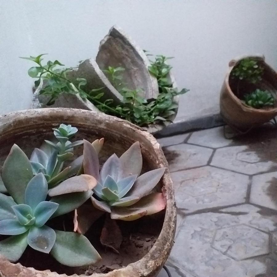 Bed and breakfast #apart Bano Privado Estar Con Microondas Y Frigobar *