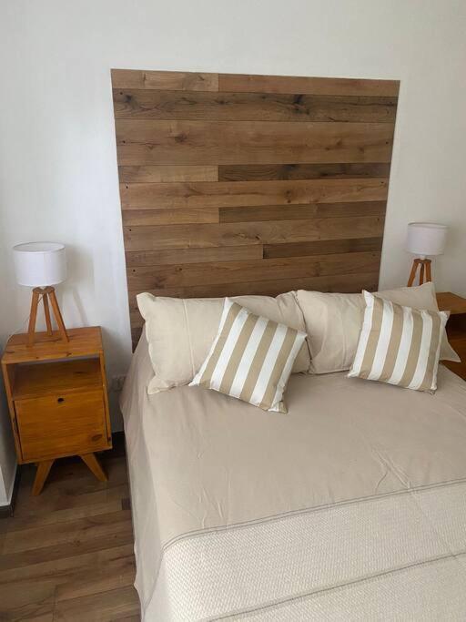 Depto En El Corazon De Mendoza. Apartamento *