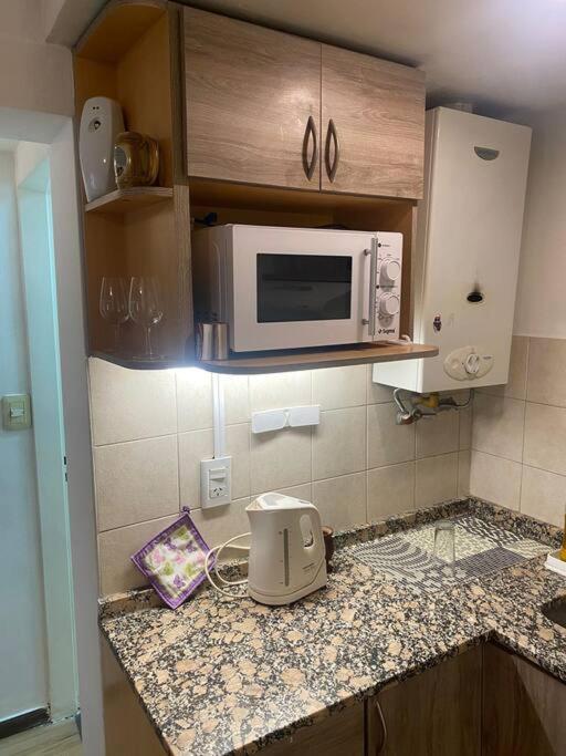 Depto En El Corazon De Mendoza. Apartamento *