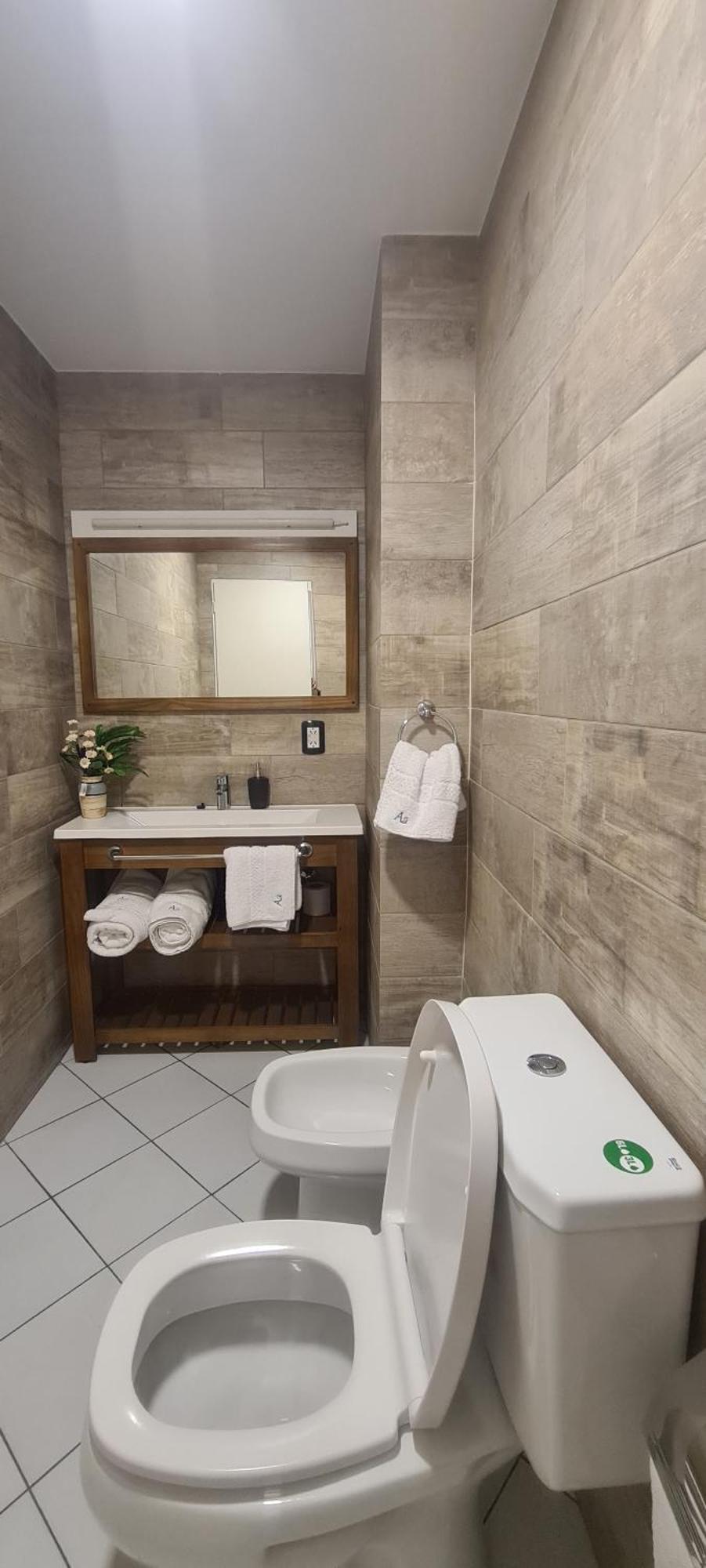 Apartment Avellaneda Mendoza