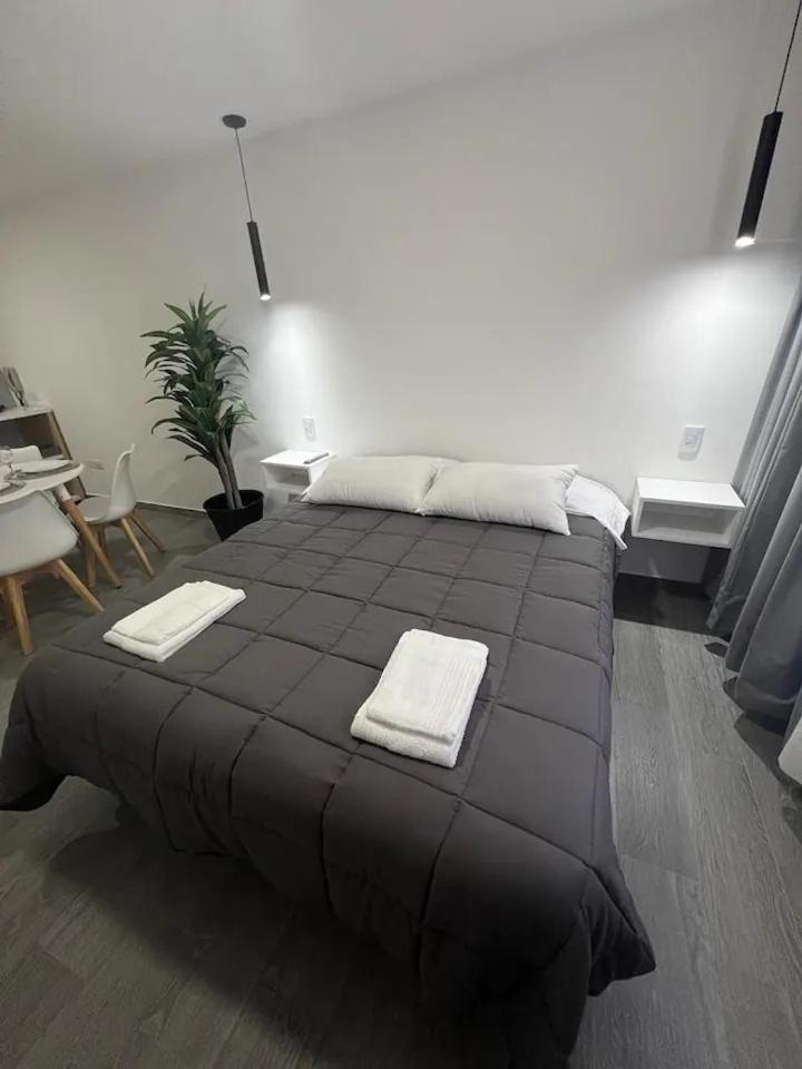 Departamento Luminoso A Estrenar En Apartment Mendoza