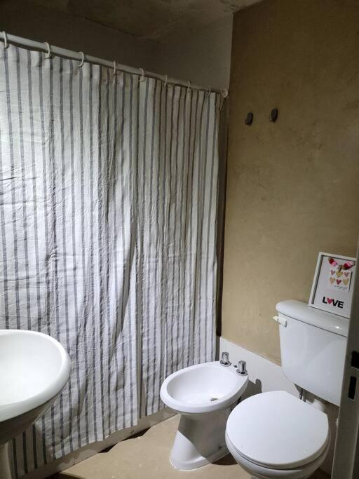 Peatonal Sarmiento Apartamento Mendoza
