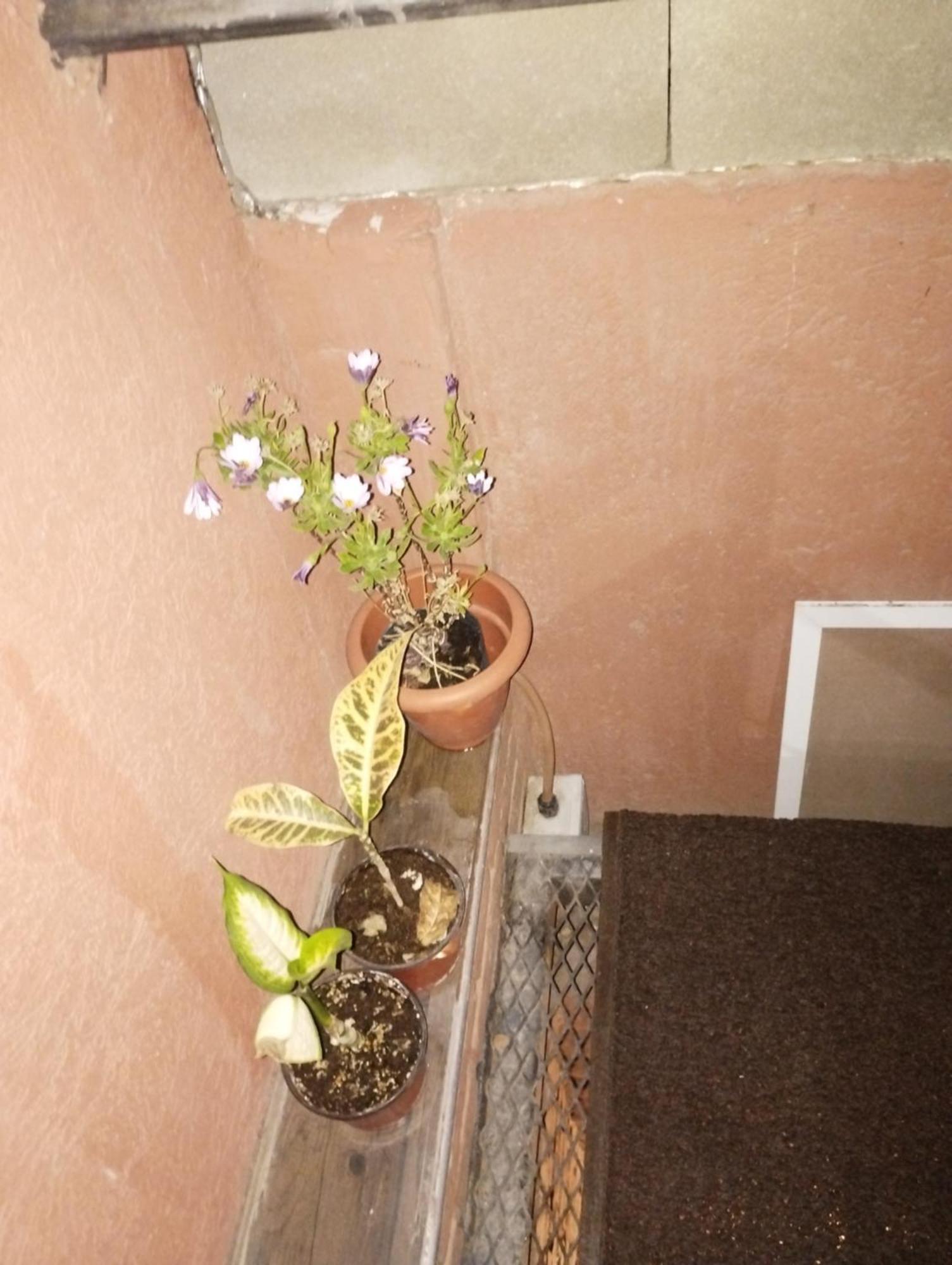 Apartamento Sol Mendocino