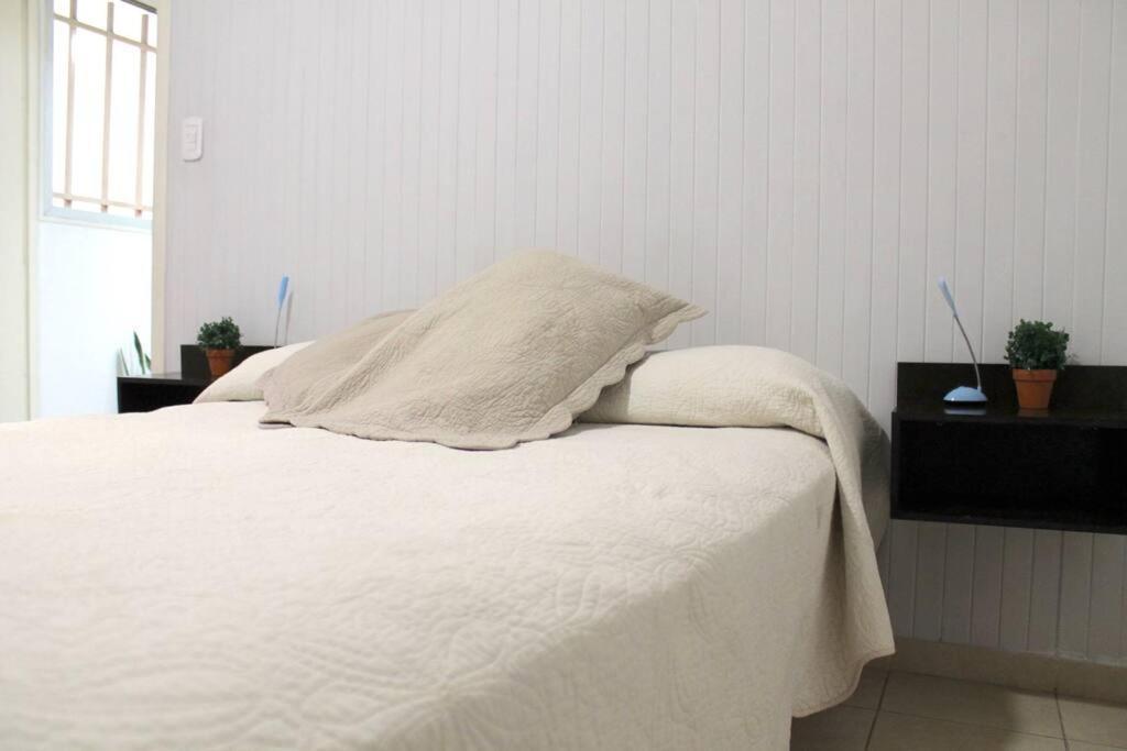 Apartamento Elegante Departamento En Pleno Centro Mendoza