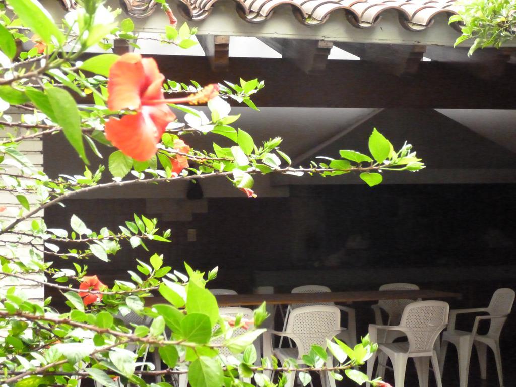 Hostal De Artistas