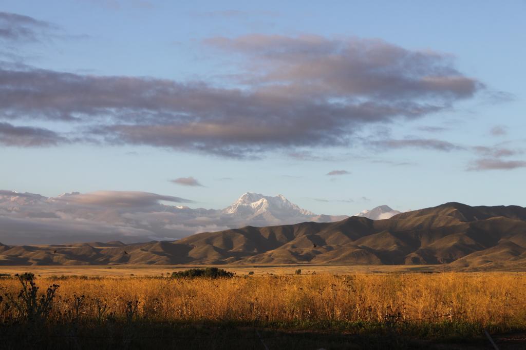La Alejandra * Mendoza