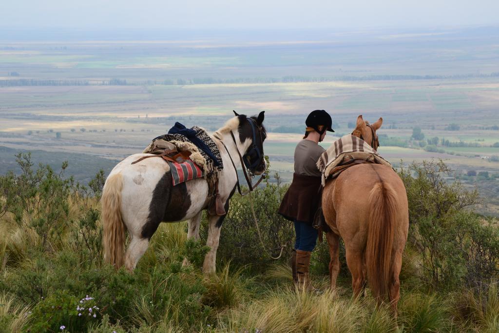 La Alejandra Casa rural Mendoza