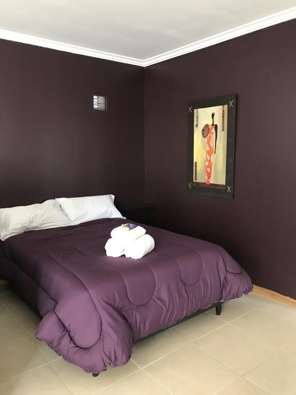 Apartamento Departamentos Oli
