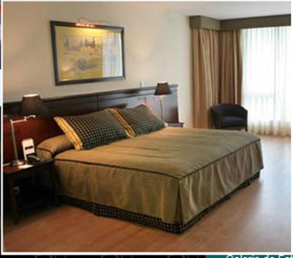 Millennium Condominio Suites Aparthotel Mendoza