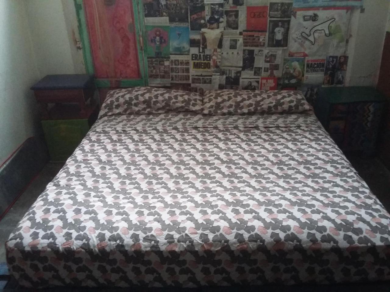 Longboard House Hostal *
