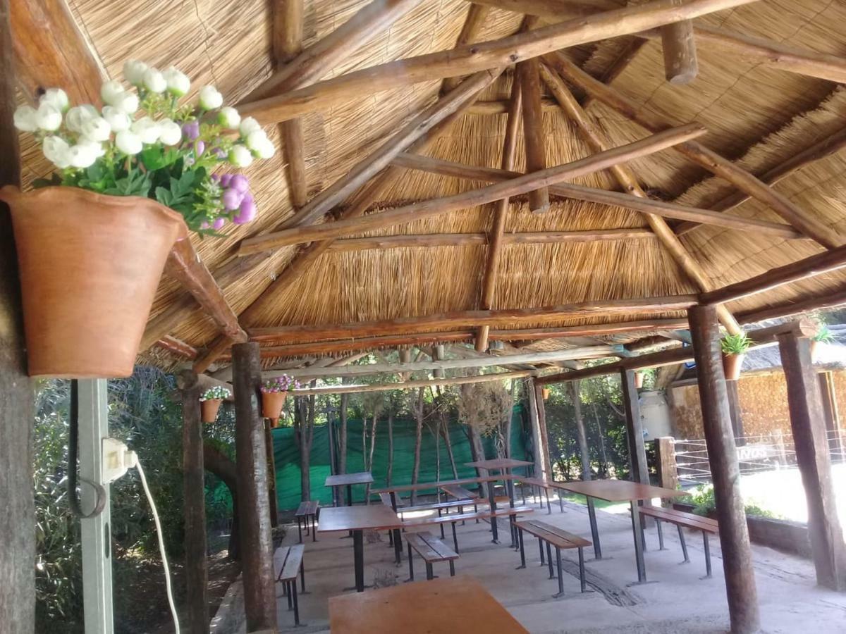 Lodge Cabañas Alto Bermejo Mendoza