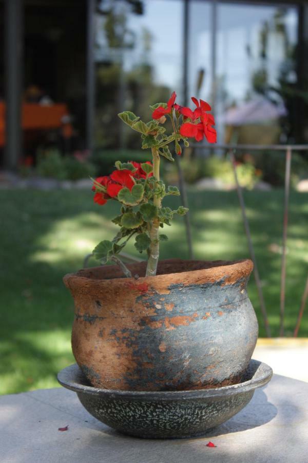 Guest house Carino Rosao