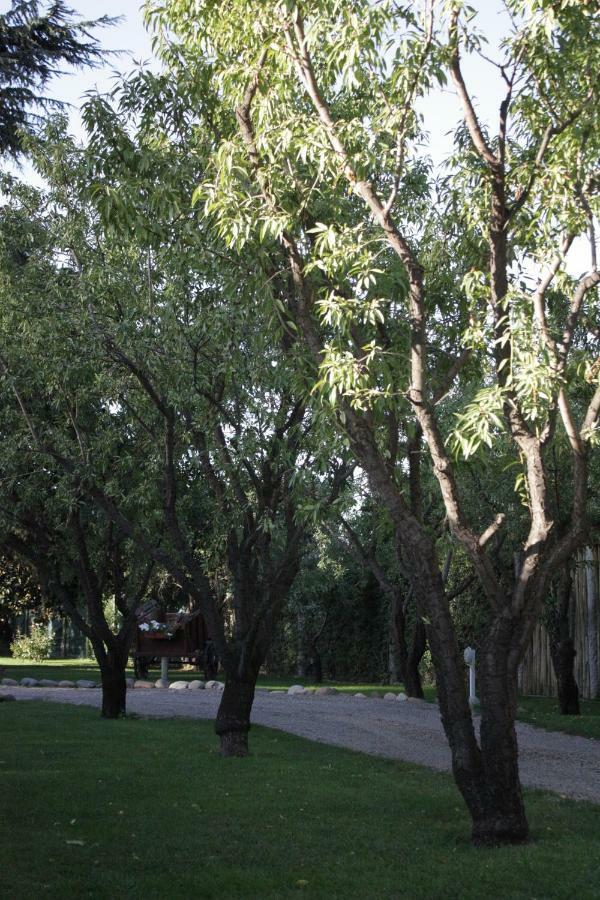 Carino Rosao Mendoza