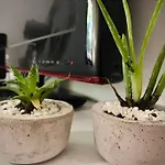 Hermoso departamento céntrico en Mendoza
