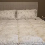 Bonito Departamento Frontal En Zona Residencial - Mendoza