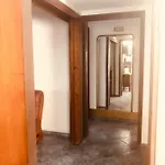 Amplio Departamento Familiar en San José