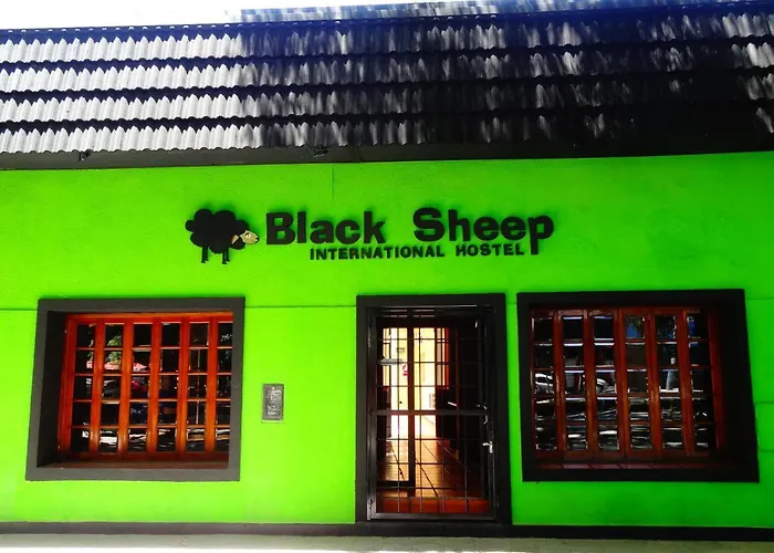 Black Sheep International Hostel