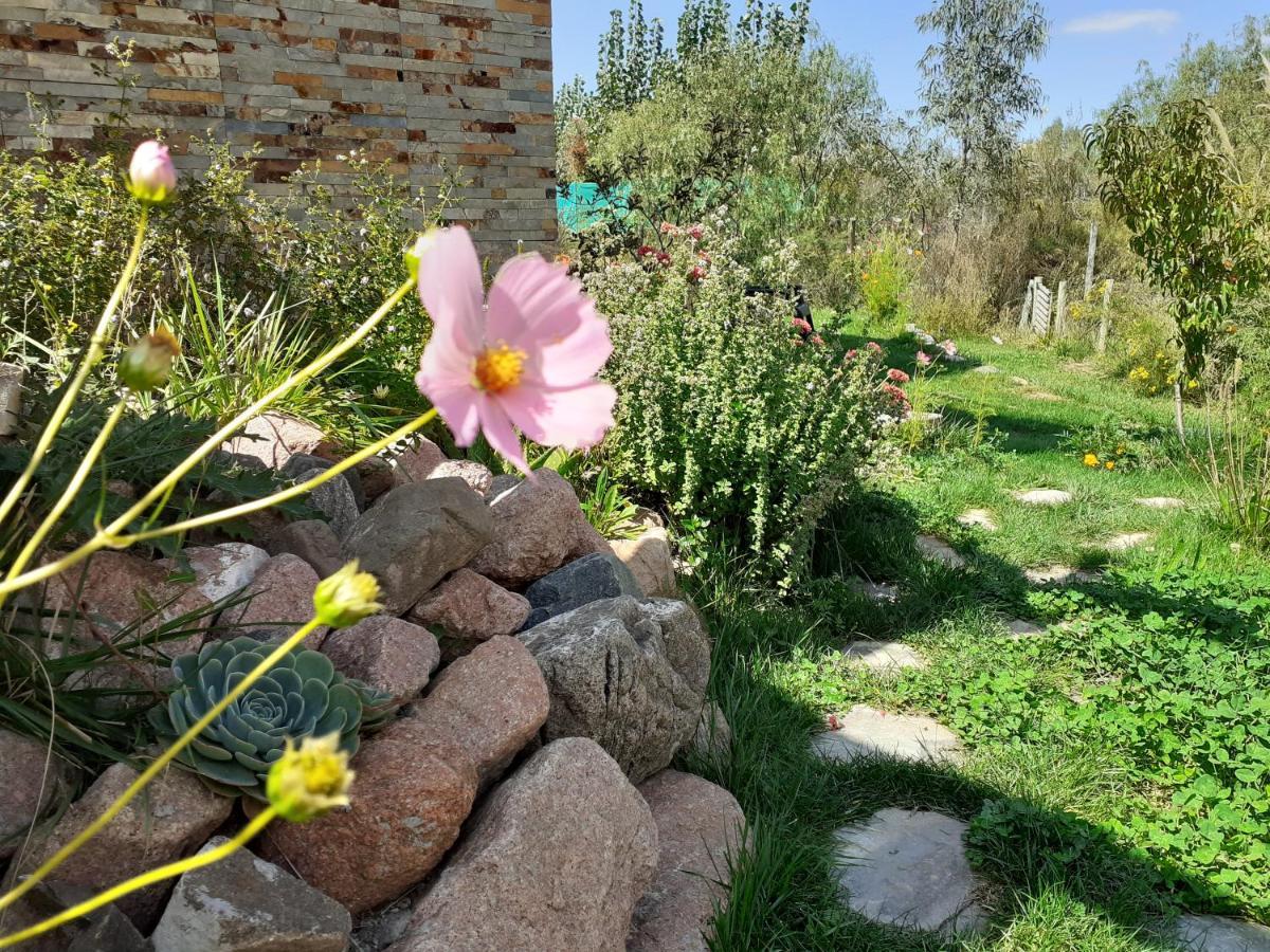 Cabañas Jadranca * Mendoza