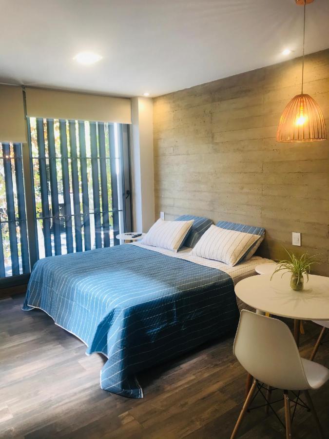 Excelente Apartamento, A Metros Del Parque San Martín! Apartamento Mendoza