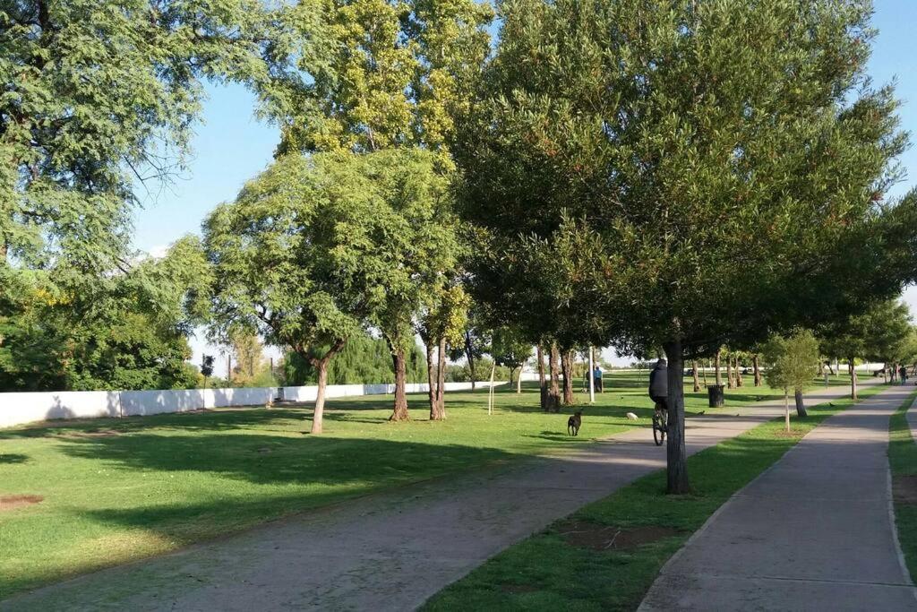 Parque * Mendoza