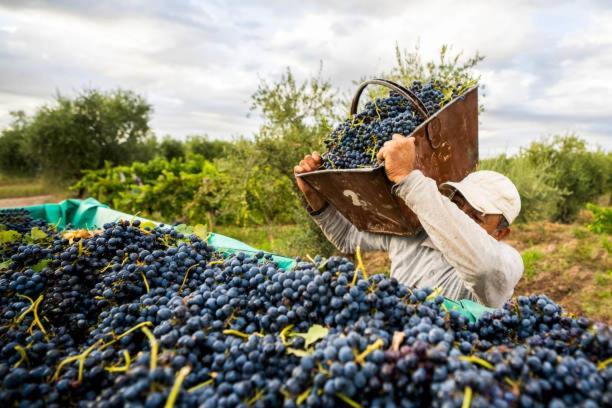 Deluxe Senderos Del Vino Ii