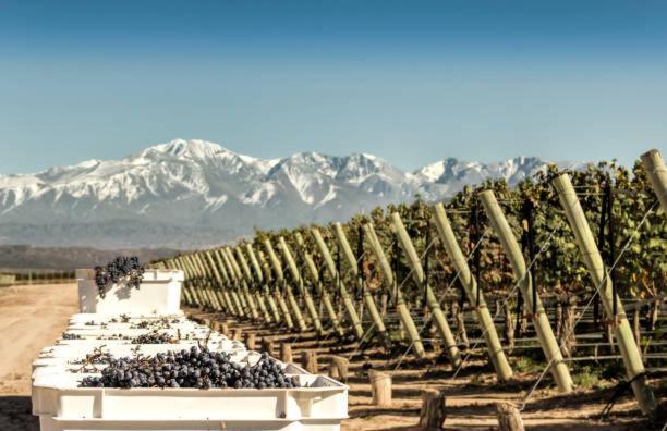 Deluxe Senderos Del Vino I Con Cochera Apartamento *