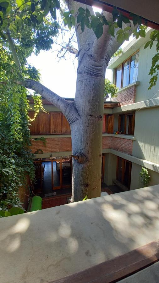 Hostel Olashostel *