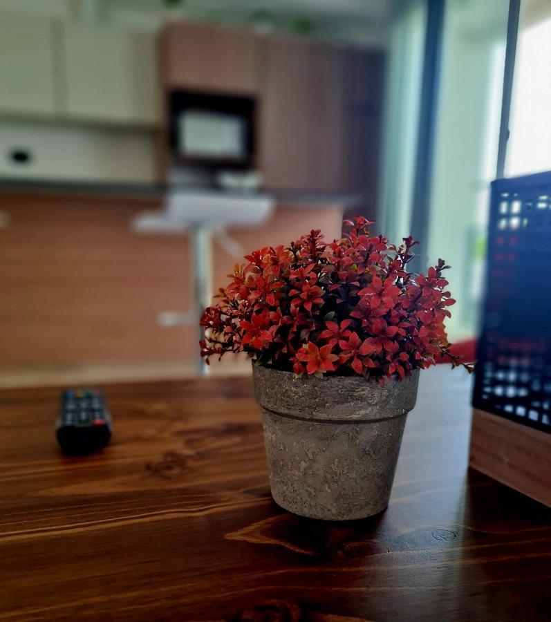 Apartment Chill Mendoza