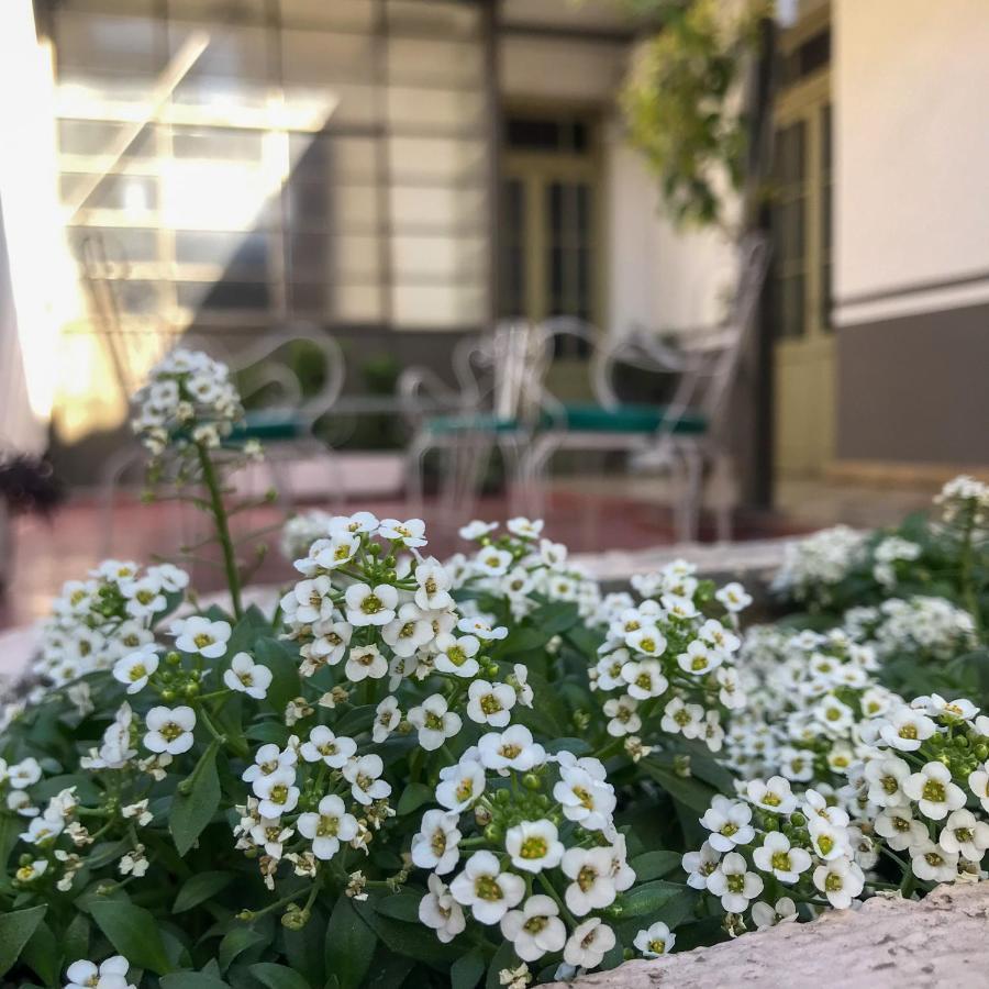Holiday home Alem Colonial -