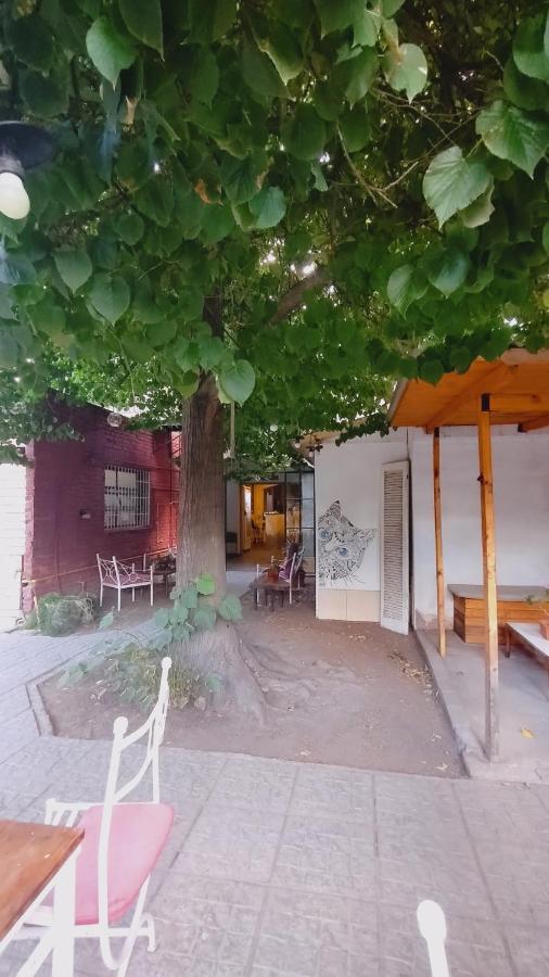 Hostal Mora International