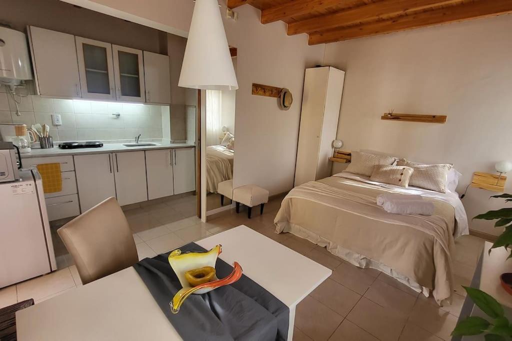 Hermoso Loft En Barrio Bombal Mendoza