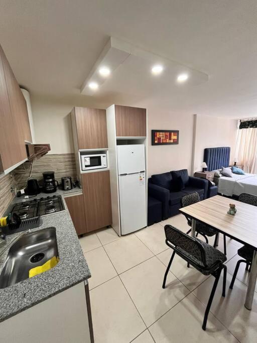 Monoambiente En Pleno Centro. Apartment Mendoza