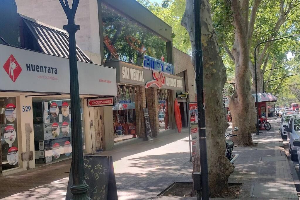 Apartamento Luminoso, Centrico Y Bellisimo. Mendoza