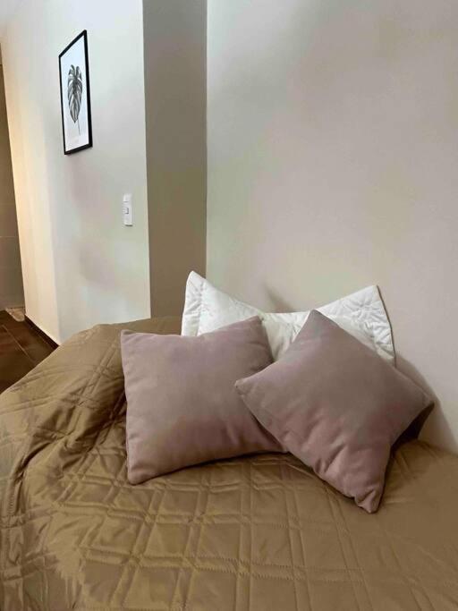 Departamento En Zona Residencial A 20 Metros Del Parque General San Martin Apartment