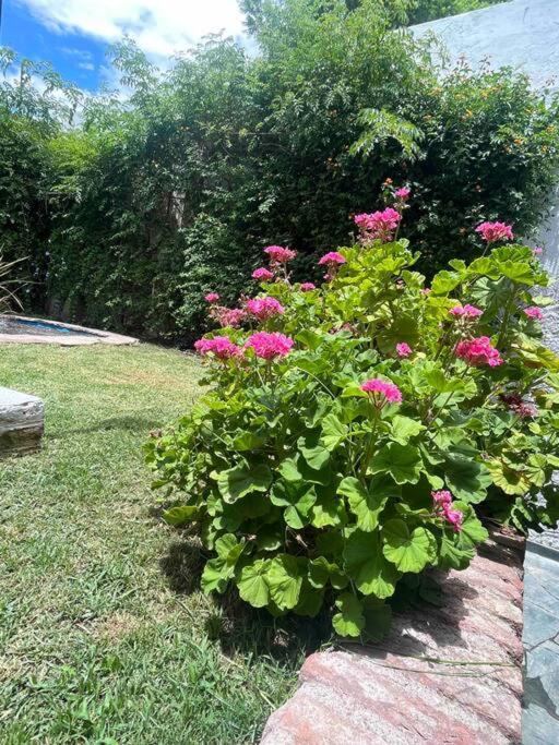Gran Casa A Metros Del Parque Gral San Martin *