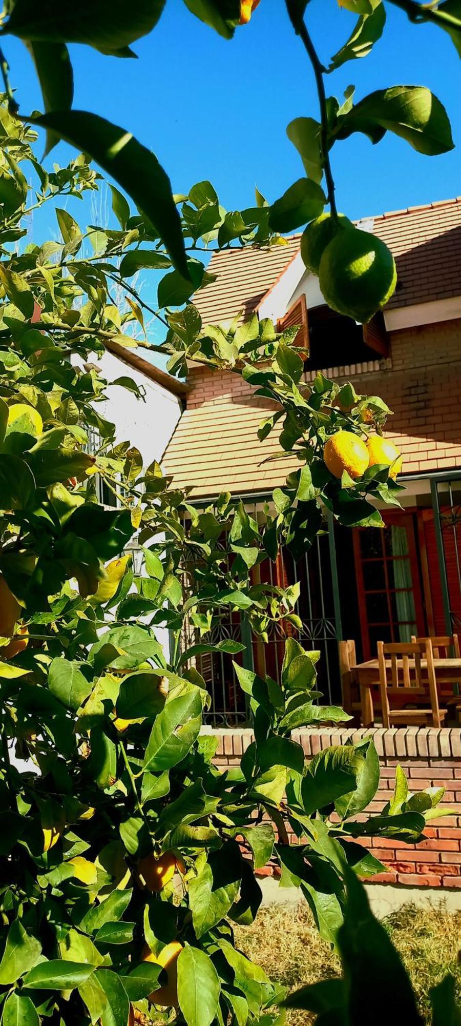 Bed and breakfast Casa Bravo *