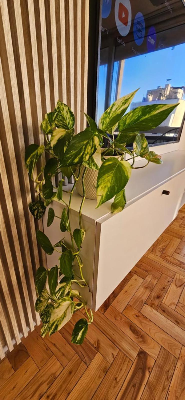 Apartamento Departamento