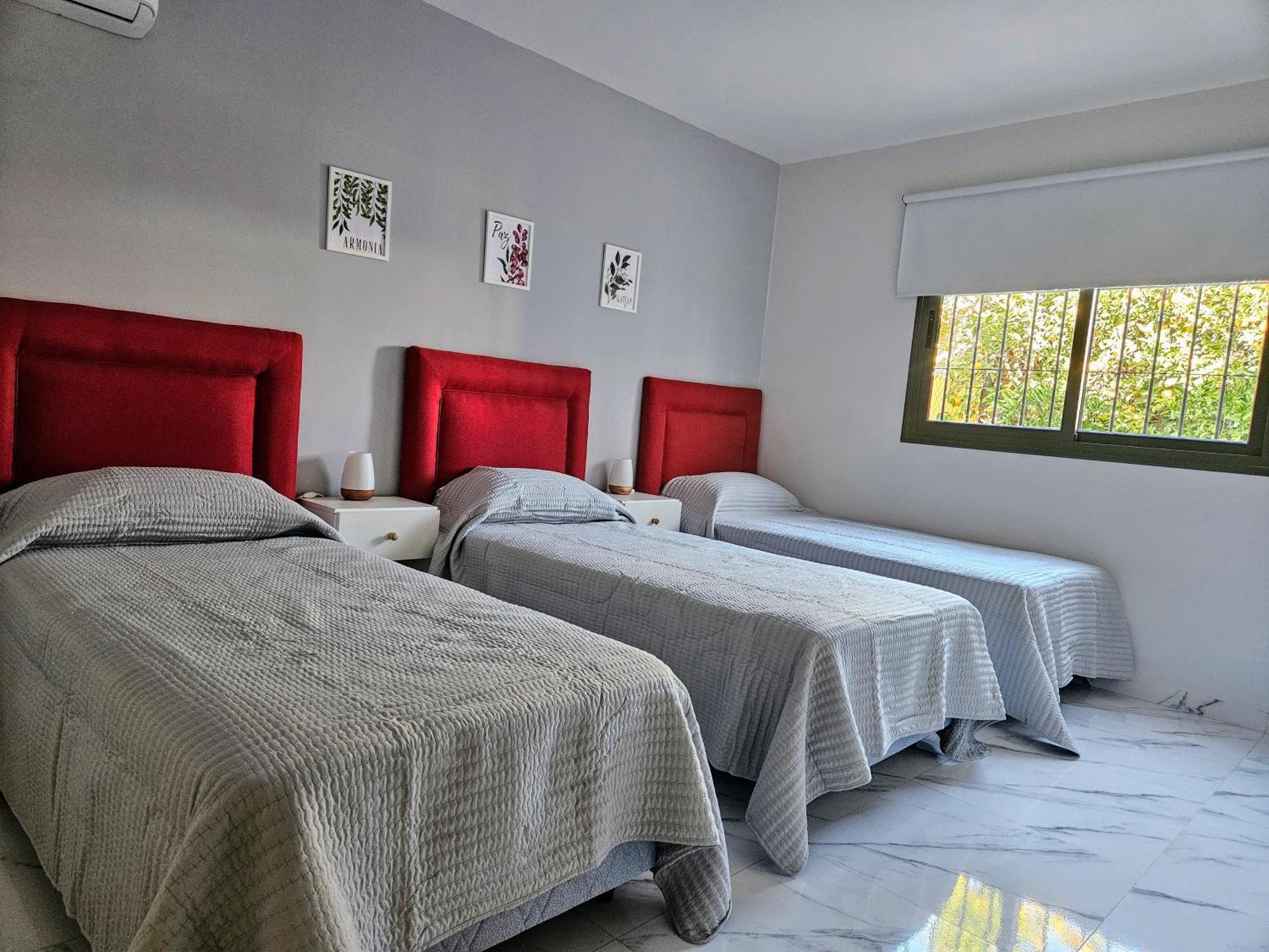 Apartamento Departamento Nuevo Y Equipado En *