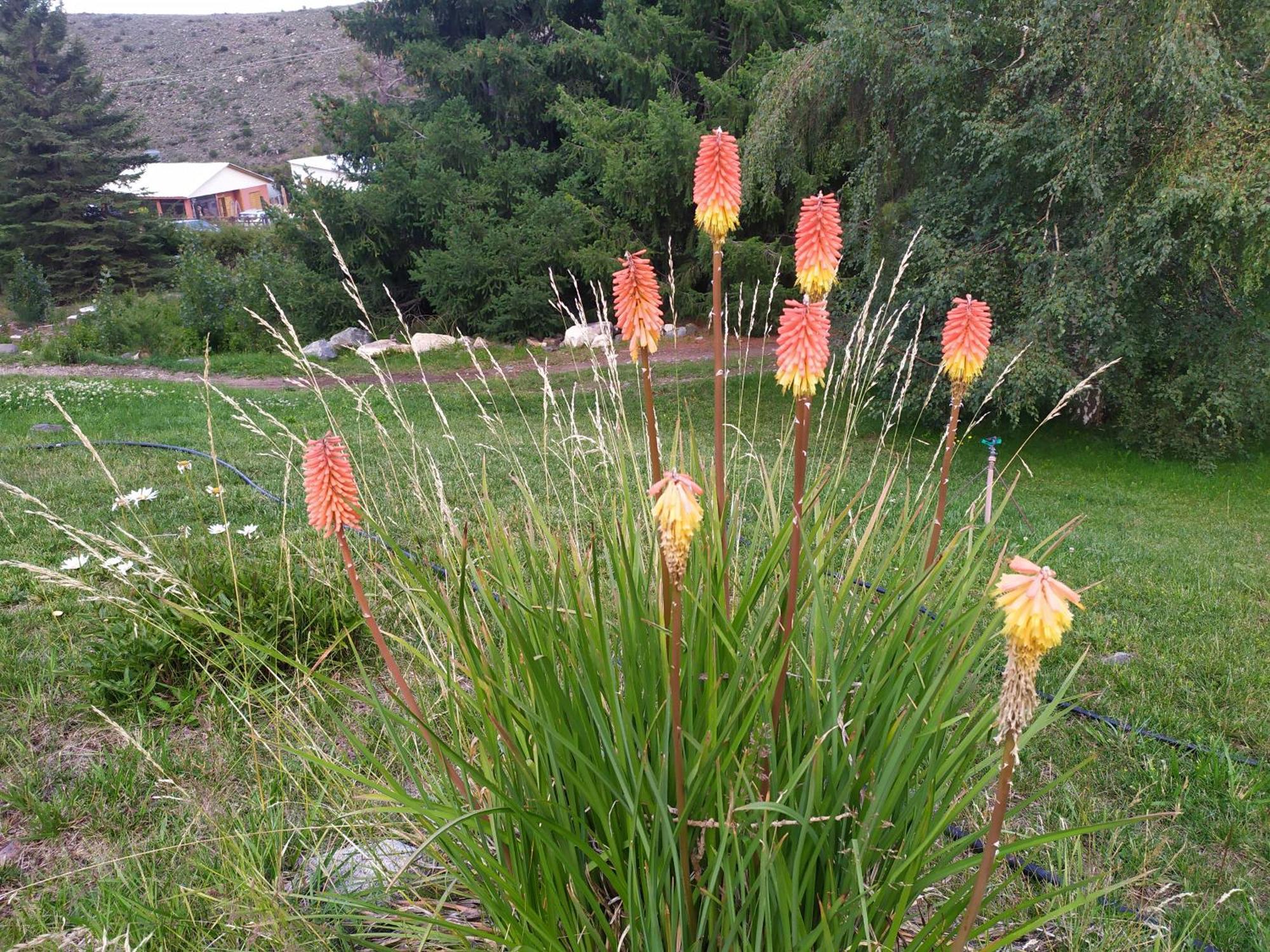 Oregones Del Valle Chalet