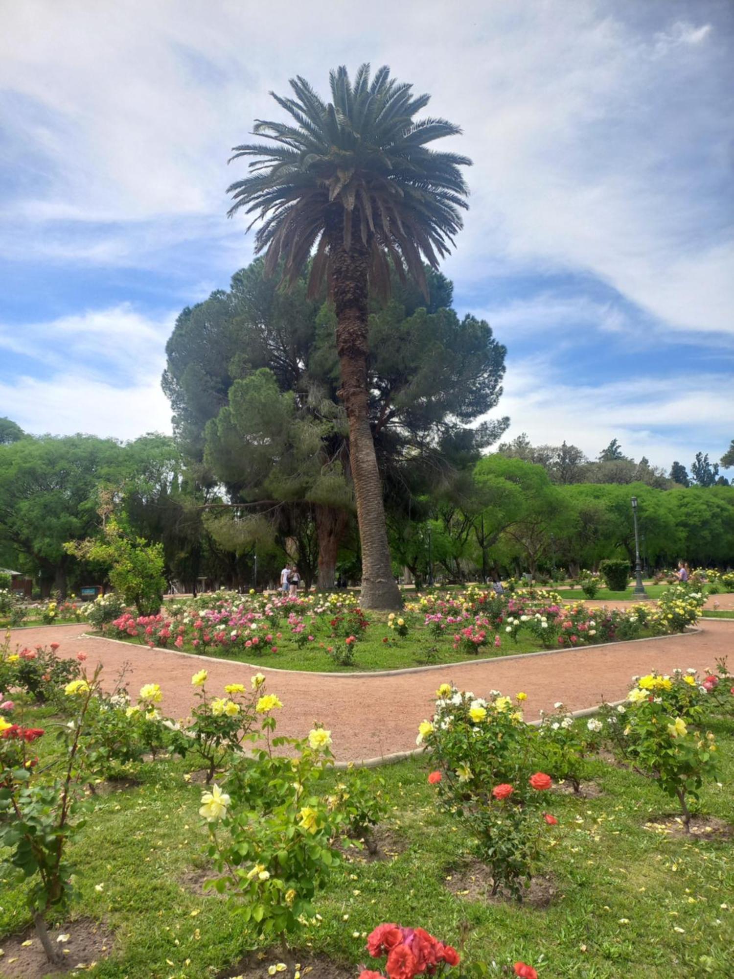 Parque *