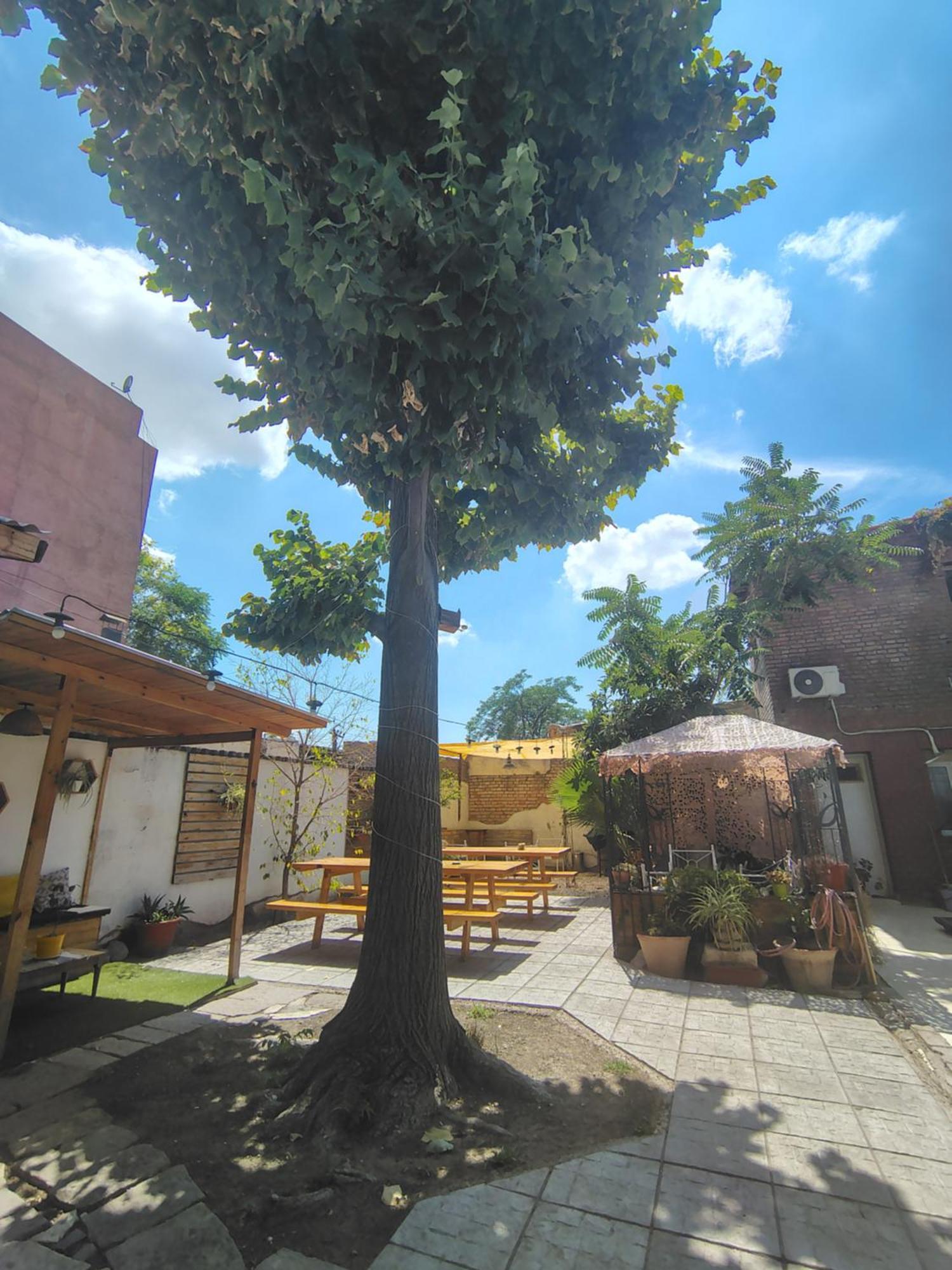 Mora International Mendoza