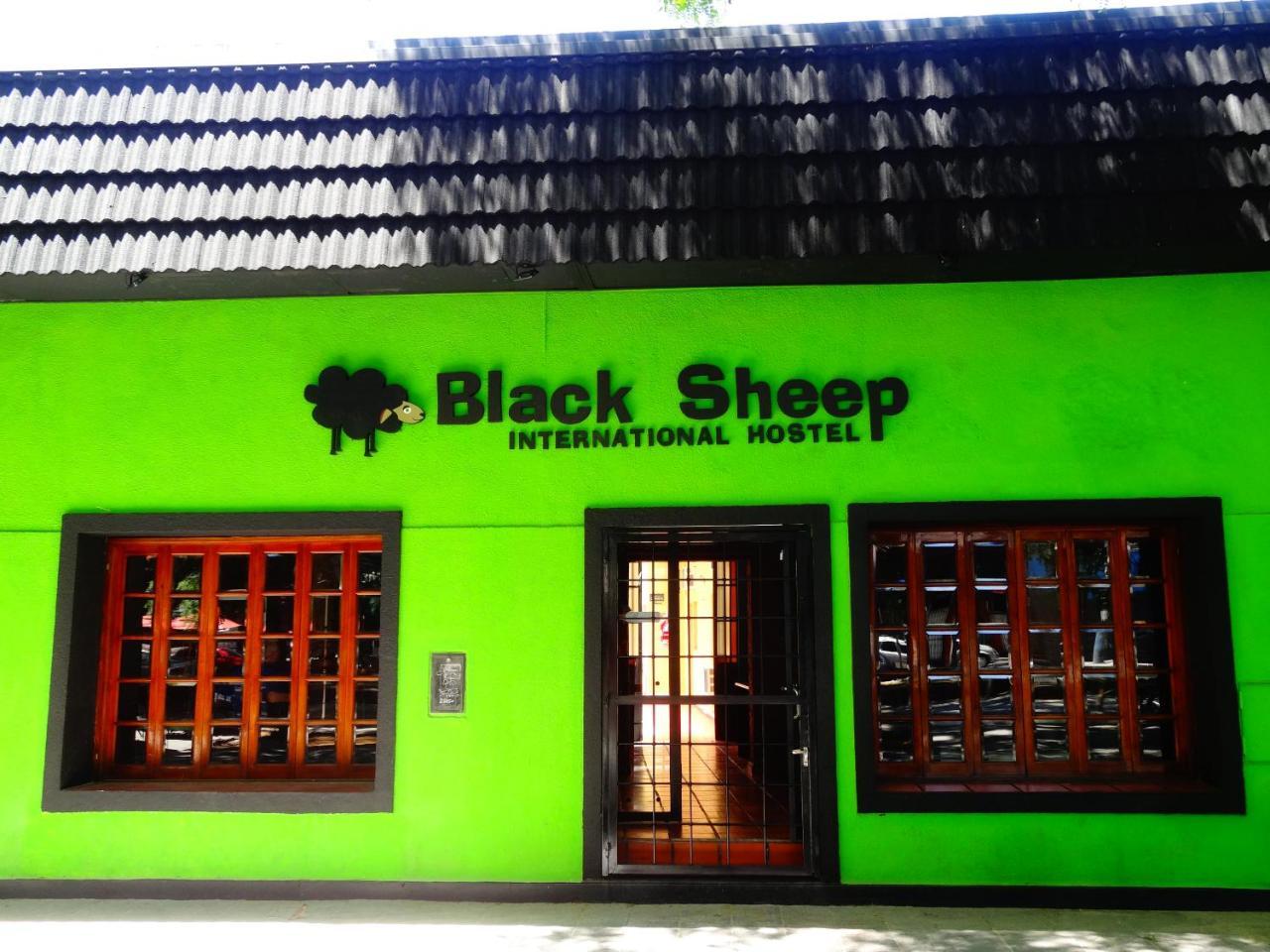 Hostel Black Sheep International *