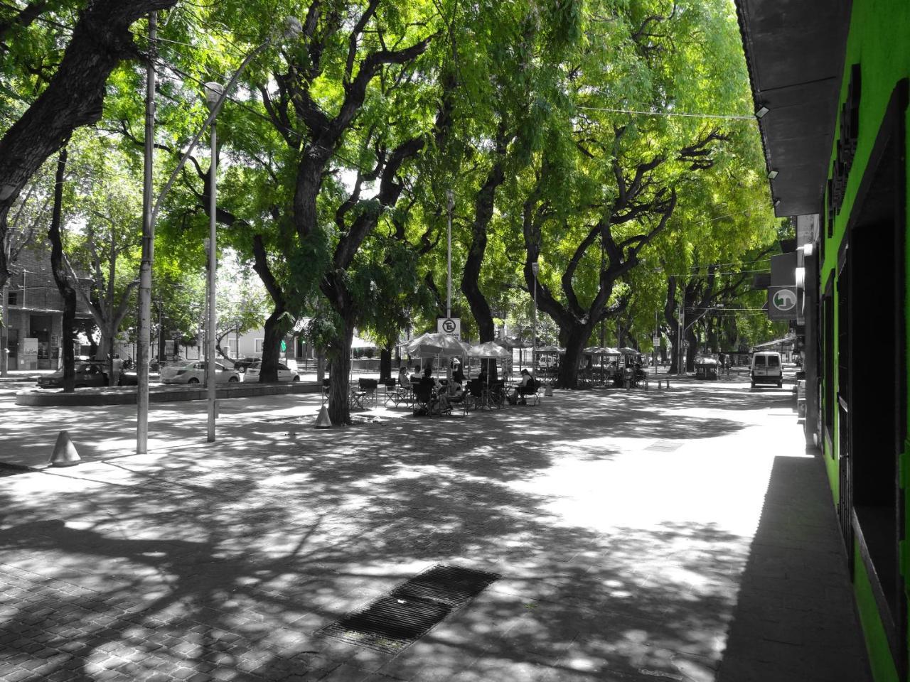 Black Sheep International Hostel *